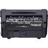 Roland CUBE Street EX with 8 Free Universal Electronics Batteries