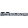 Roland FC-300 MIDI Foot Controller