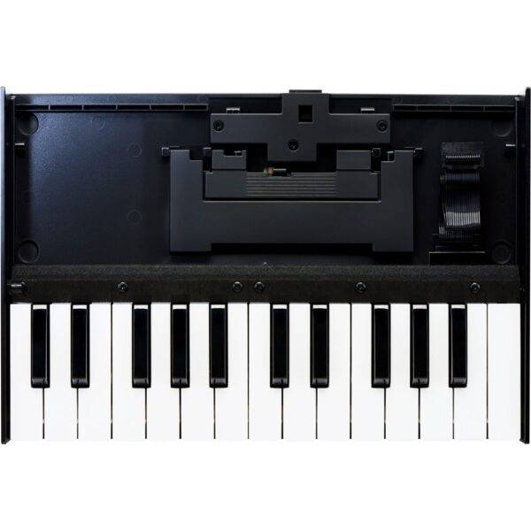 Roland K-25m Boutique Series 25-note Accessory Keyboard Unit