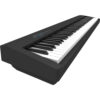 Roland FP-30X 88-key Digital Piano with Speakers – Black