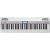 Roland GO-61P-A 61-Key Digital Piano with Alexa Built-In