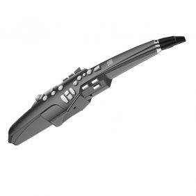 Roland Aerophone AE-10 Digital Wind Instrument (Black)