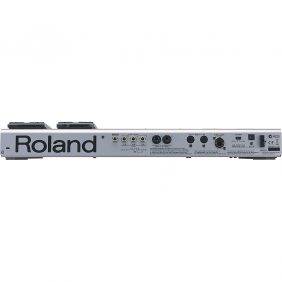 Roland FC-300 MIDI Foot Controller